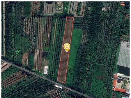 Bán đất 6140.7m² 1.4 tỷ Thị xã Long Mỹ