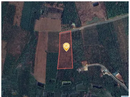 Bán đất 1000m² 500 triệu tại Xã Đinh Trang Hòa Huyện Di Linh