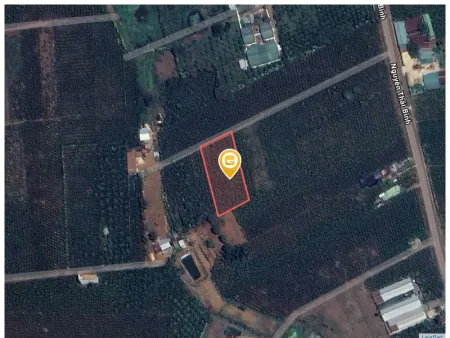 Bán đất 1000m² 500 triệu tại Phường Lộc Phát Thành phố Bảo Lộc