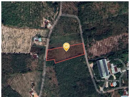Bán đất 586,7m² 570 triệu tại Xã An Lập Huyện Dầu Tiếng