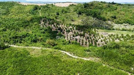 Bán đất thổ cư 630000m² , giá 25.2 tỷ tại, Xã Ea Wer, Huyện Buôn Đôn, Đắk Lắk