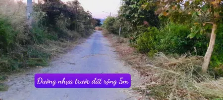 Bán đất Phước Đông, Cần Đước, Long An gần khu công nghiệp Phước Đông