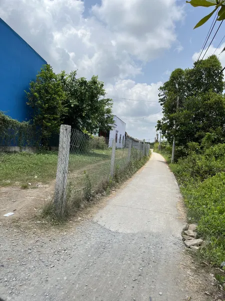 Bán đất bình Khánh cần giờ