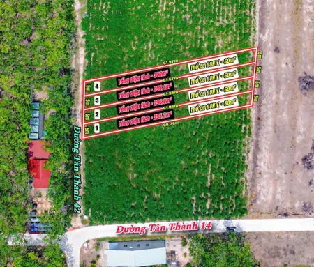 Bán đất 300m² 239 triệu tại Xã Tân Thành Huyện Tân Châu