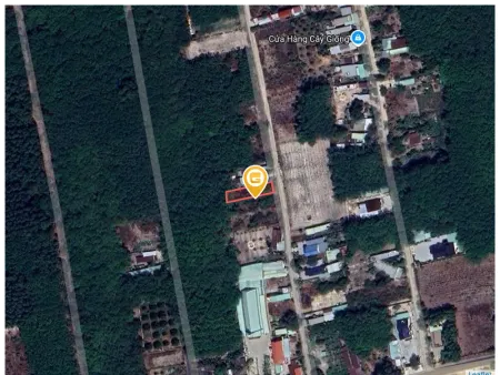 Bán đất 443.1m² 1.65 tỷ tại Xã Cây Trường II Huyện Bàu Bàng