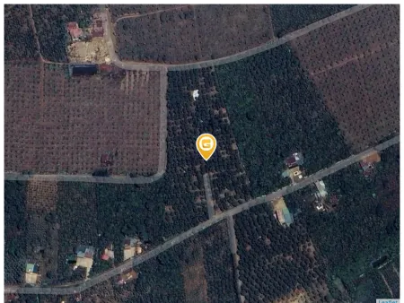 Bán đất 1000m² 500 triệu tại Xã Lộc An Huyện Bảo Lâm