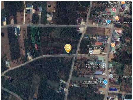 Bán đất 1000m² 500 triệu tại Xã Lộc An Huyện Bảo Lâm