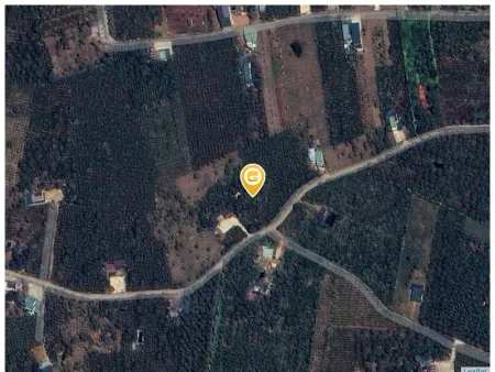 Bán đất 1000m² 500 triệu tại Xã Lộc An Huyện Bảo Lâm