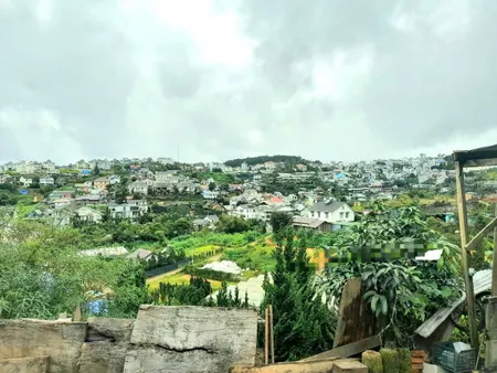Bán đất sát thông view cao đẹp gần khu biệt thự Đống Đa trung tâm Đà Lạt