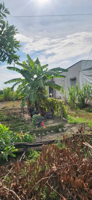 130m2 thổ cư view kênh ở xã Hòa Khánh Nam, Đức Hòa giá 1,15 tỷ