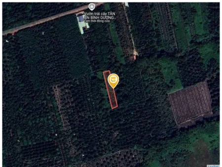 Bán đất 1008.4m² 1.5 tỷ tại Phường Tân An Thành phố Thủ Dầu Một