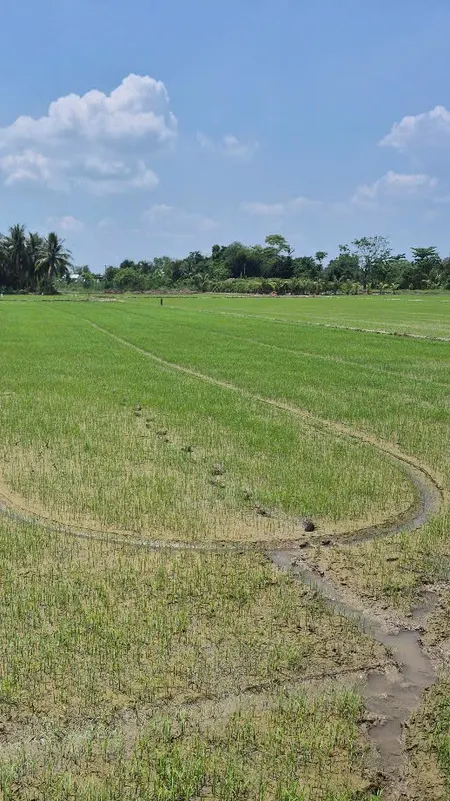 Tuyến tránh quốc lộ 57- đường dẫn cầu đình khao