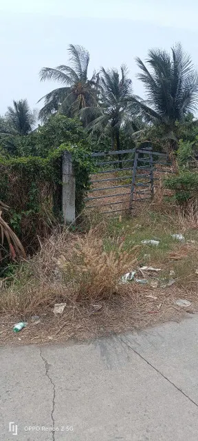 Hàng ngộp giá thơm 955m2 có 300m2 thổ cư xã Tân Nhựt