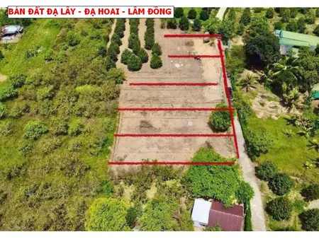 Bán đất Đạ Lây, Đạ Hoai, Lâm Đồng giá chỉ 279tr/ lô sổ sẵn