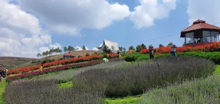 Bán Homestay 2140m view cực đẹp Đà Lạt