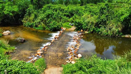 56000 m2 Đất sinh thái suối Mơ siêu đẹp đầu nguồn bám suối 400m