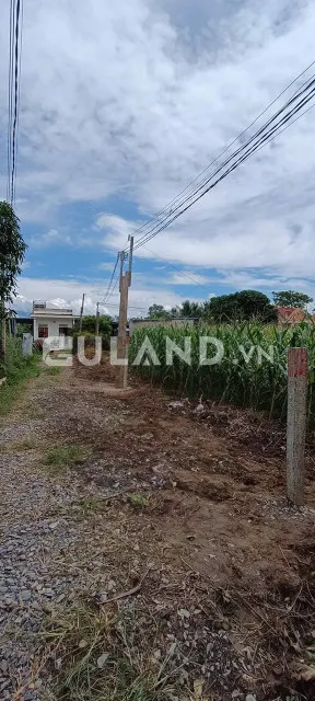 Chủ ngộp cần ra nhanh 7x30, CLN đã đăng kí thổ cư Phú Gia, Xã Ninh An, Thị xã Ninh Hòa, Khánh Hòa