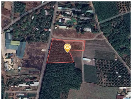 Bán đất 3700m² 7.7 tỷ tại Xã Đông Hoà Huyện Trảng Bom