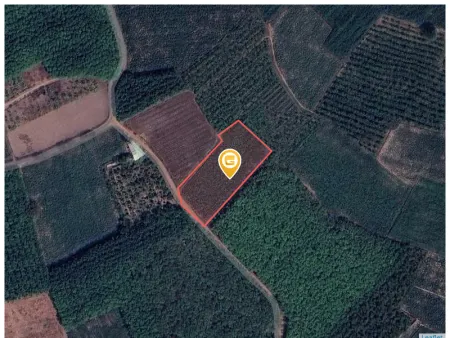 Bán đất 4828.8m² 3.7 tỷ tại Xã Phan Huyện Dương Minh Châu