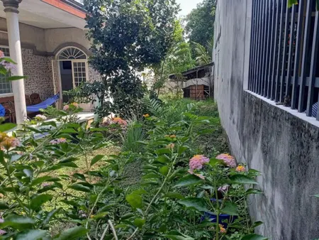 Đất Tương Bình Hiệp-1/Lê Văn Tách vào 50m nhựa oto né nhau gần bên Chợ Mới vị trí đẹp