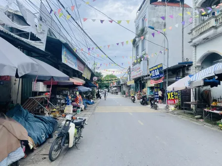Bán đất 773.5m² 2.7 tỷ tại Xã Cổ Đông Thị xã Sơn Tây