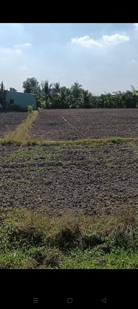 Bán đất 2000m² 6 tỷ tại Xã Tân Nhựt Huyện Bình Chánh