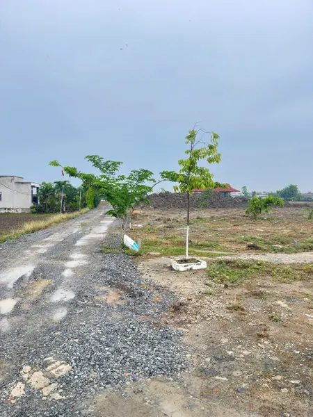 BÁN ĐẤT ĐÔ THỊ CẦN ĐƯỚC - CƠ HỘI ĐẦU TƯ LÝ TƯỞNG