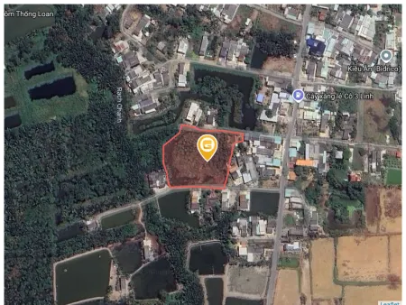 Bán đất 4945.3m² 19.6 tỷ tại Xã Long Hựu Đông Huyện Cần Đước