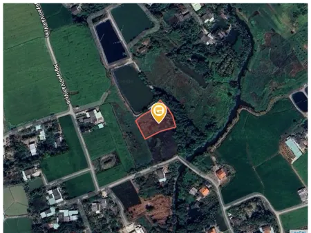 Bán đất 1889.3m² 1.9 tỷ tại Xã Bình Trinh Đông Huyện Tân Trụ
