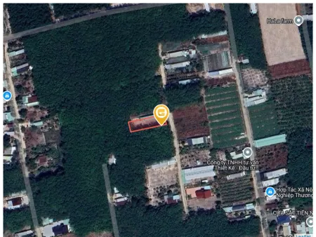 Bán đất 550m² 1.6 tỷ tại Xã Cây Trường II Huyện Bàu Bàng quá hot cho dân đầu tư