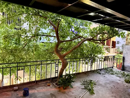 Bán nhà Mặt phố Đặng Văn Ngữ (Đống Đa) 170m, 4 tầng, mt 6.2m, giá 99 tỷ