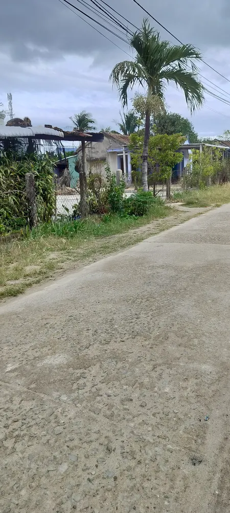 Bán đất