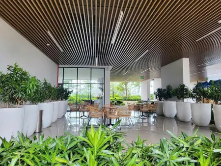 CHÍNH CHỦ CẦN BÁN GẤP CĂN HỘ OPAL SKYLINE TẦNG 30 Ngay Thành Phố Thuận An, Bình Dương.