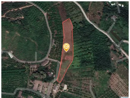 Bán đất 5500m² 2.5 tỷ tại Phường Bến Tắm Thị xã Chí Linh
