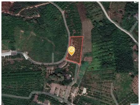 Bán đất 3298m² 1.5 tỷ tại Phường Bến Tắm Thị xã Chí Linh 0342951991