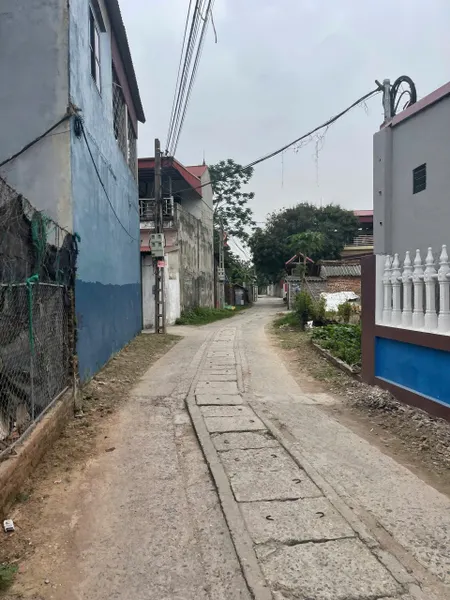 BÁN ĐẤT 99.1M², MT: 4M, FULL THỔ CƯ – XUÂN LỄ, TÂN DÂN, SÓC SƠN – GIÁ CHỈ 2.4 TỶ