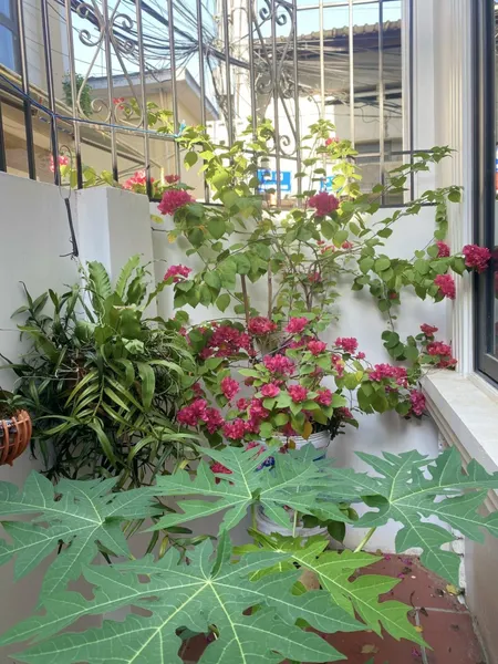 Lô góc Nguyễn Văn Linh Dt40m ô tô thang máy giá 11.5 tỷ
