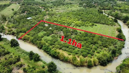Bán đất 12501.4m² 1.5 tỷ tại Xã Tân Hoà Huyện Buôn Đôn