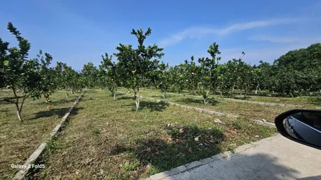Cơ Hội đầu tư giá chỉ 2xx có 180m tại Bảo Hiệu, Yên Thủy, Hòa Bình