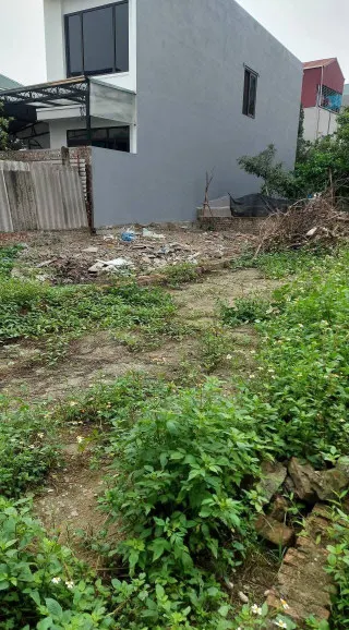 Rẻ và đẹp như này không mua thì mua ở đâu đất vạn 3 124m giá cho ae đầu tư khu vực đân cư than thiện tiện ích xung quanh đầy đủ oto vao dat 20m