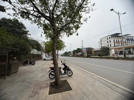 BÁN ĐẤT THƯƠNG MẠI DỊCH VỤ TẠI TRUNG TÂM TP VĨNH YÊN – VỊ TRÍ ĐẮC ĐỊA