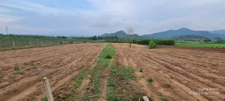 Bán đất 11909.2m² 6 tỷ tại Xã Ninh Tây Thị xã Ninh Hòa