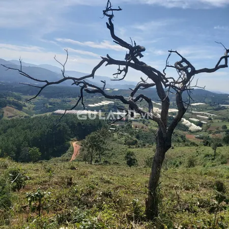 Hãy tham lam khi người khác sợ hãi