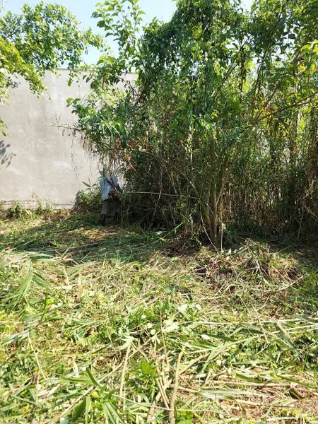 Bán đất 178.7m² 1.5 tỷ tại Phường Long Tuyền Quận Bình Thuỷ
