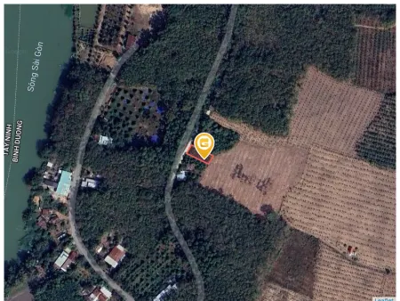Bán đất 170m² ngang 6m dài 28. Tc100m giá 550 triệu tại Xã Thanh An Huyện Dầu Tiếng