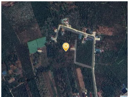 Bán đất 1000m² ngang 5m giá 500 triệu tại Xã Lộc An Huyện Bảo Lâm