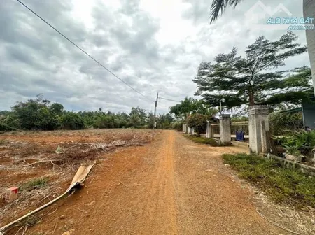 Bán đất 113.2m² giá 290 triệu tại Phường Thống Nhất Thị xã Thị Xã Buôn Hồ