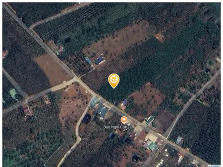 Bán đất 1000m² ngang 5m giá 1.5 tỷ tại Xã Lộc An Huyện Bảo Lâm