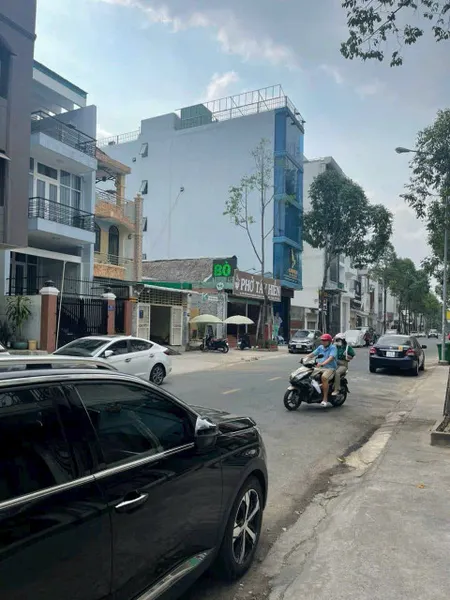 Bán đất 100m² ngang 5m giá 9.5 tỷ tại Phường Chánh Nghĩa Thành phố Thủ Dầu Một