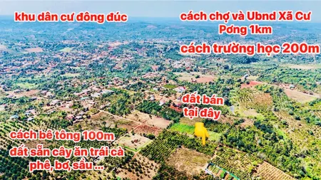 Bán đất 424.1m² giá 259 triệu tại Xã Cư Pơng Huyện Krông Búk